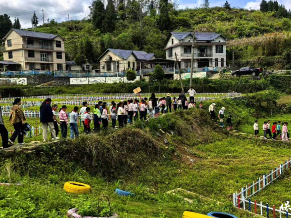 保靖县阳朝乡：产学研基地书写“田间课堂”大文章