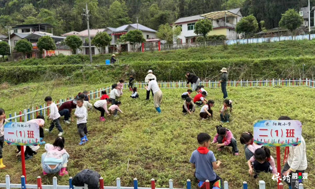 3月14日 (1)(368).jpg