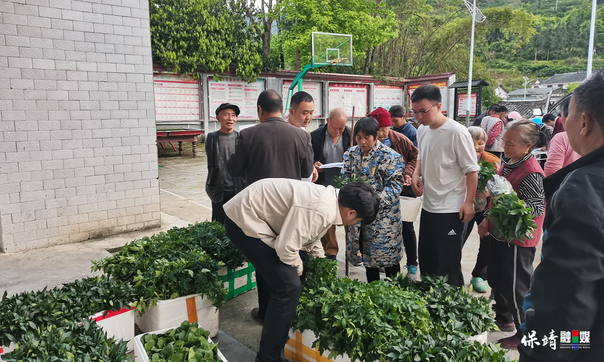 3月14日 (1)(384).jpg