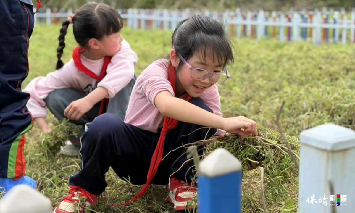 3月14日 (1)(369).jpg