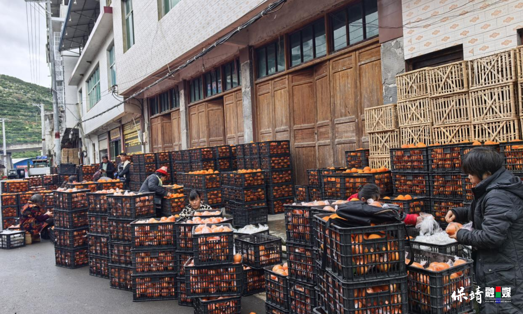 3月14日 (1)(235).jpg