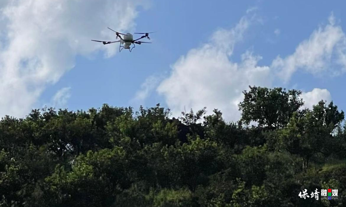 3月14日 (1)(403).jpg