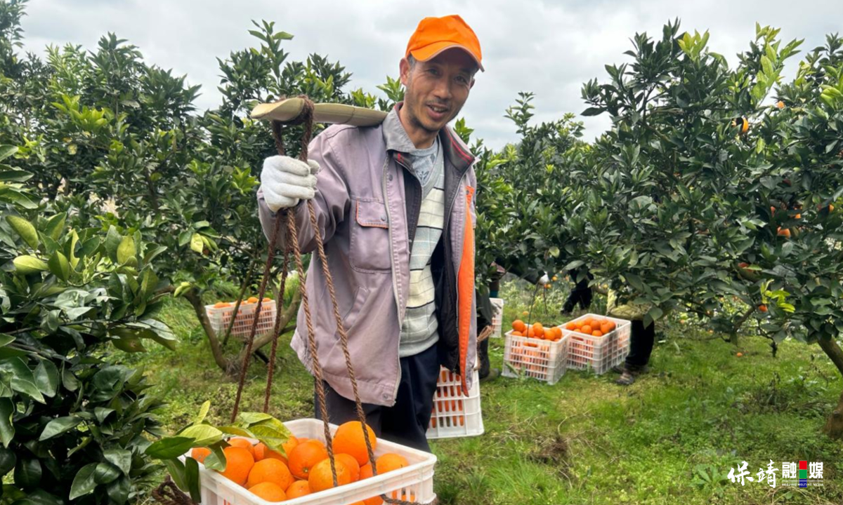 3月14日 (1)(420).jpg