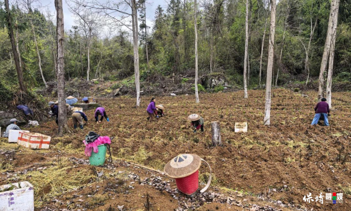 3月14日 (1)(465).jpg