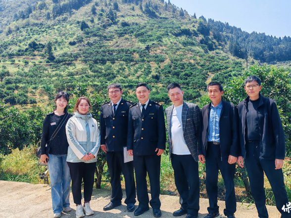 保靖县获海关出口果园备案 保靖黄金橙拿到 “国际通行证”