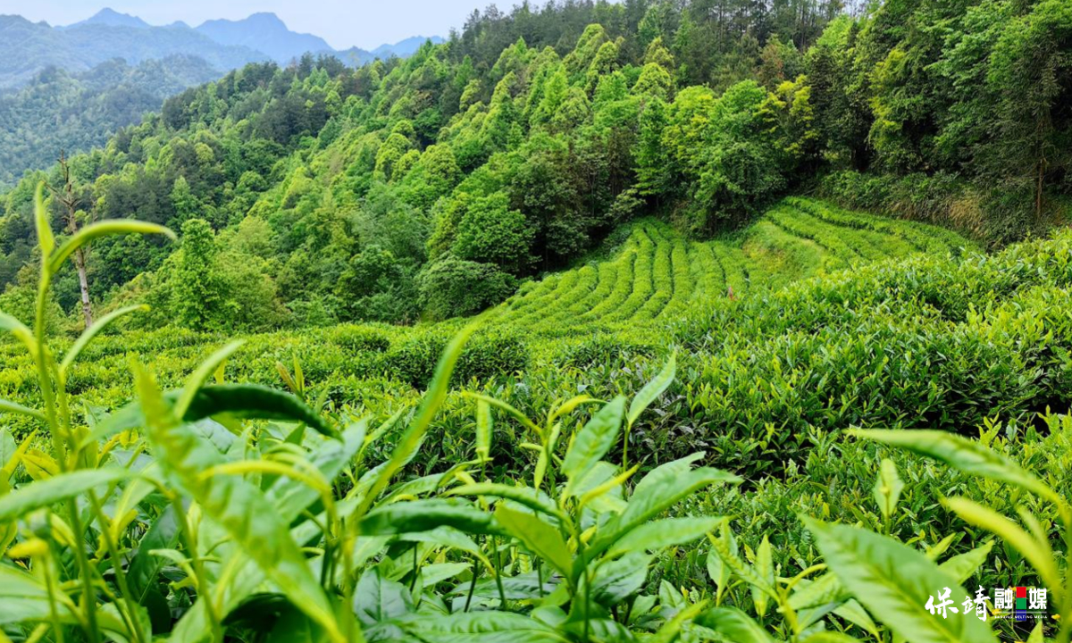 3月14日 (1)(480).jpg