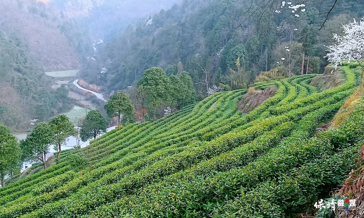 3月14日 (1)(481).jpg