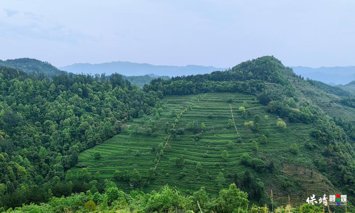 3月14日 (1)(483).jpg