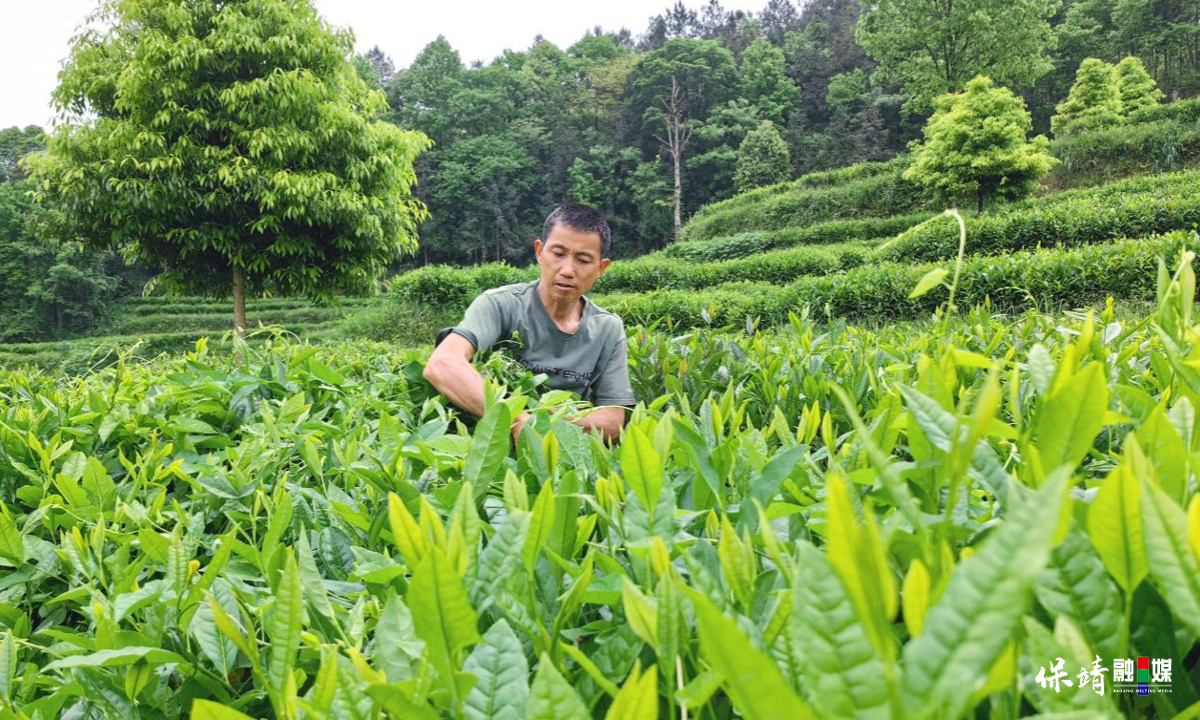 3月14日 (1)(478).jpg