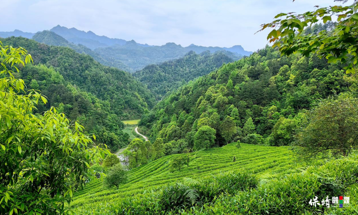 3月14日 (1)(482).jpg