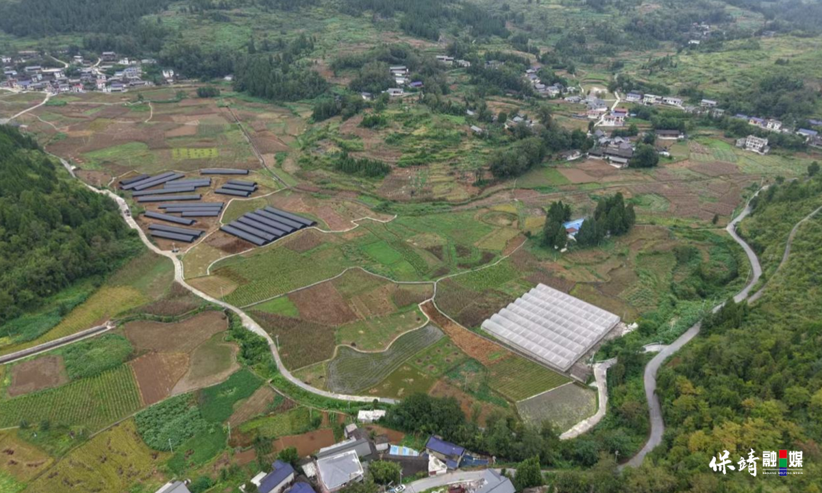 3月14日 (1)(512).jpg