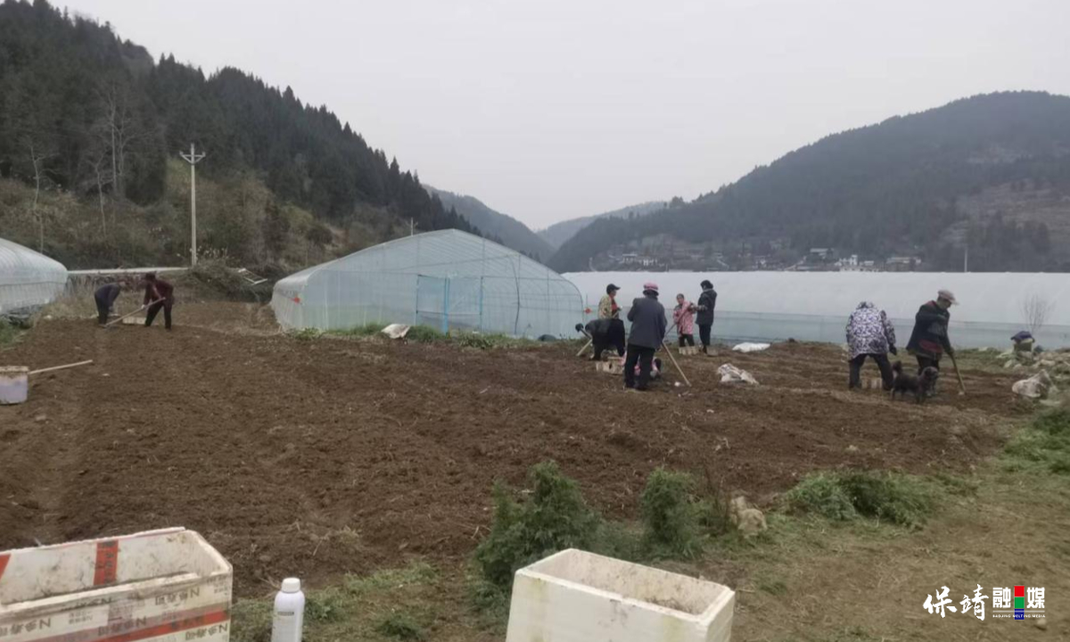 3月14日 (1)(511).jpg