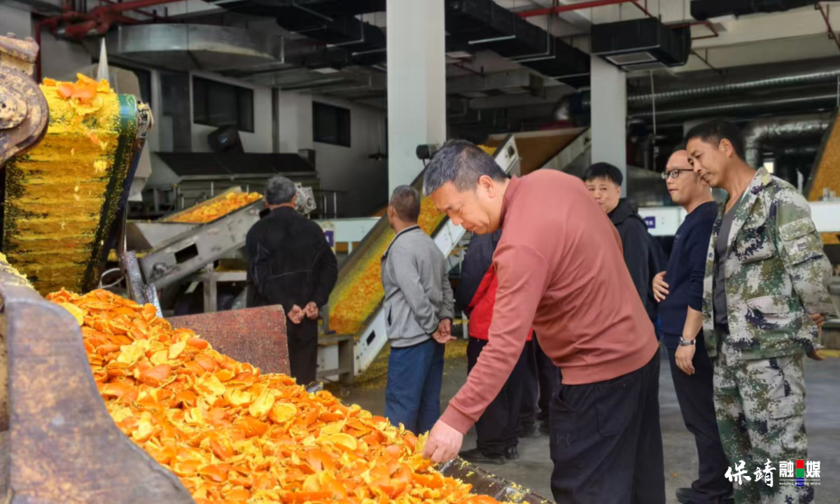 3月14日 (1)(520).jpg