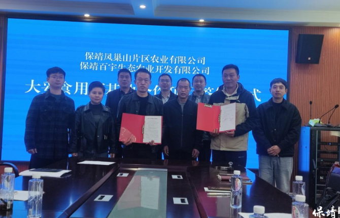 从闲置校舍到菌菇基地——凤巢山片区“联”出产业新图景