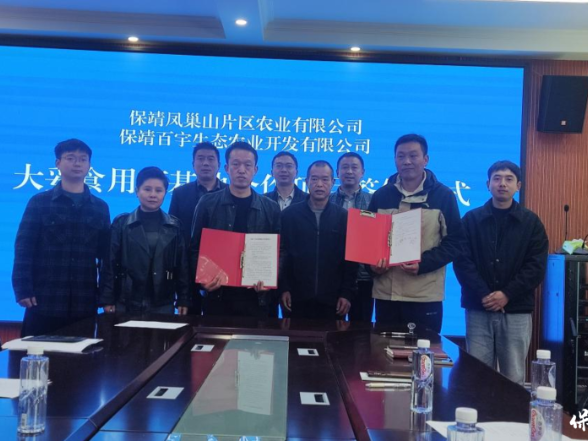 从闲置校舍到菌菇基地——凤巢山片区“联”出产业新图景