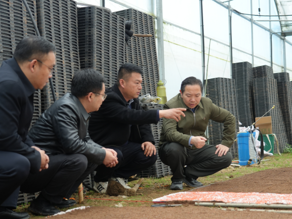 周建武调研春耕生产：抢抓农时全力抓好春耕生产，扎实推动粮食增产农业增效农民增收