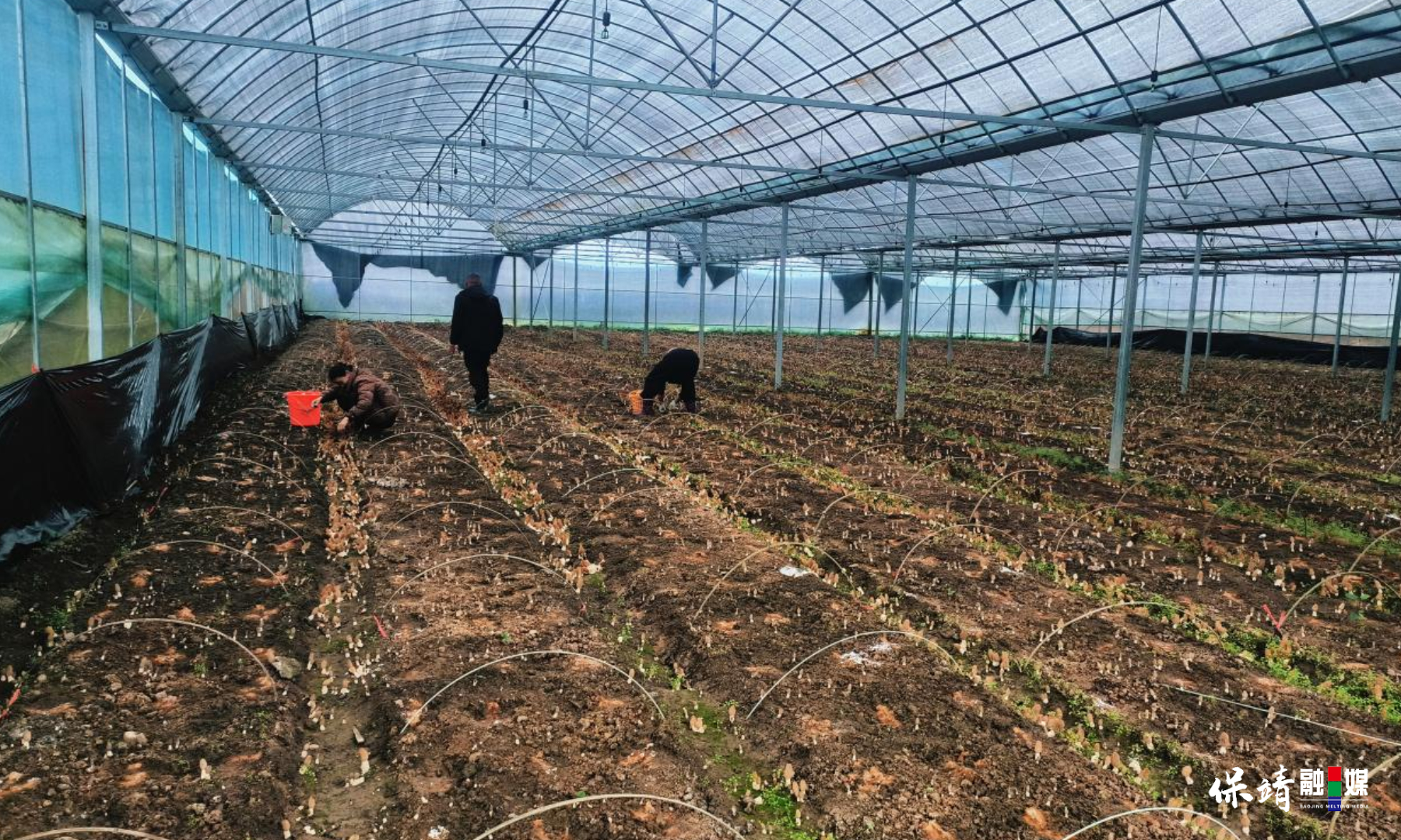 3月14日 (1)(288).jpg 3月14日 (1)(288).jpg