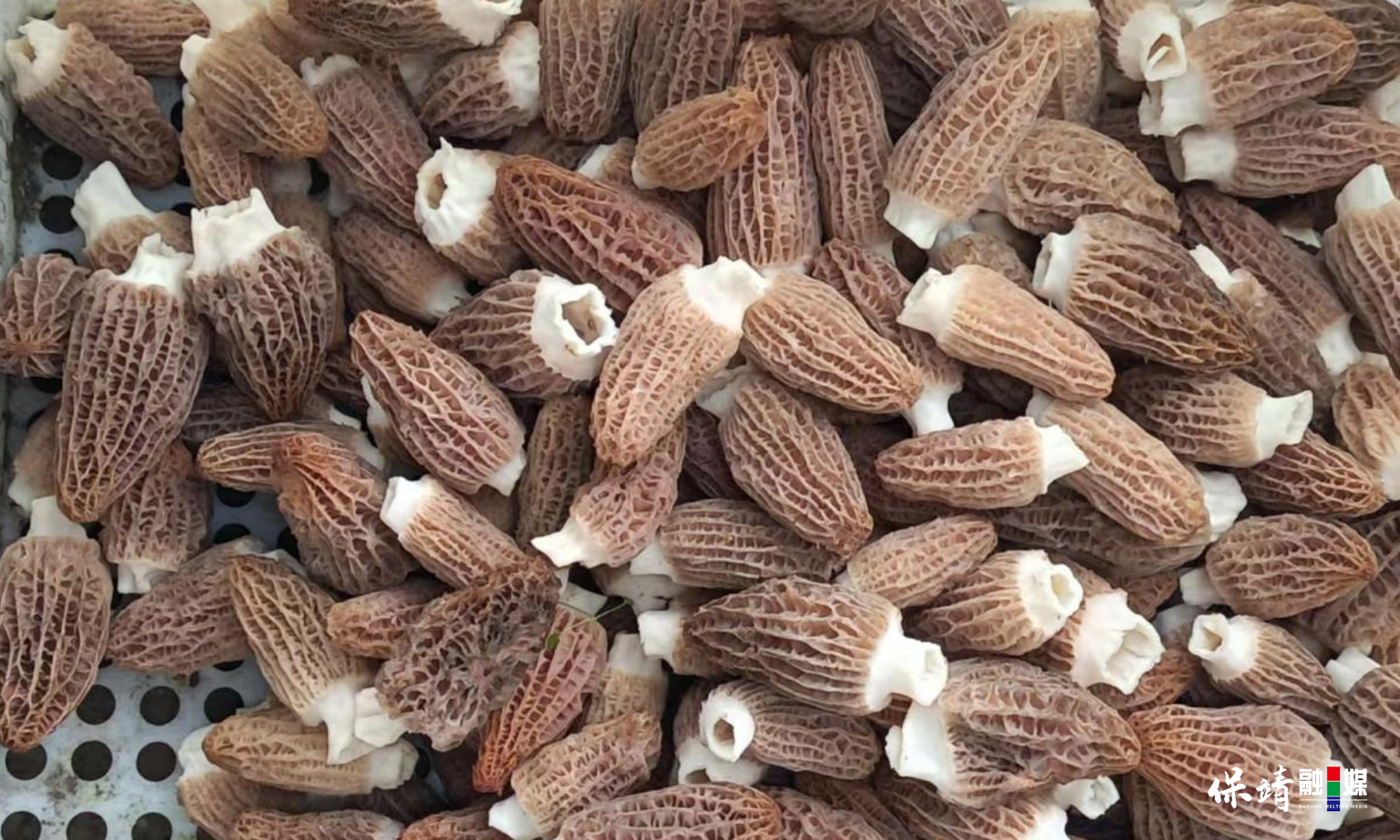 3月14日 (1)(289).jpg 3月14日 (1)(289).jpg