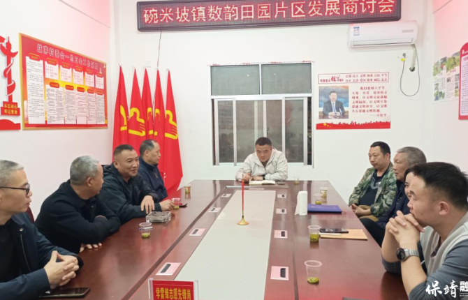 保靖县碗米坡镇：数韵田园谋新篇 片区同心促振兴