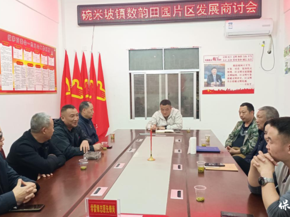 保靖县碗米坡镇：数韵田园谋新篇 片区同心促振兴