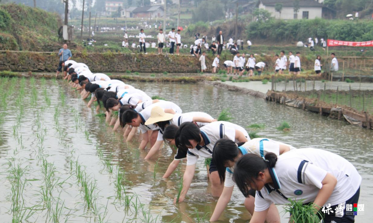 3月14日 (1)(619).jpg 3月14日 (1)(619).jpg