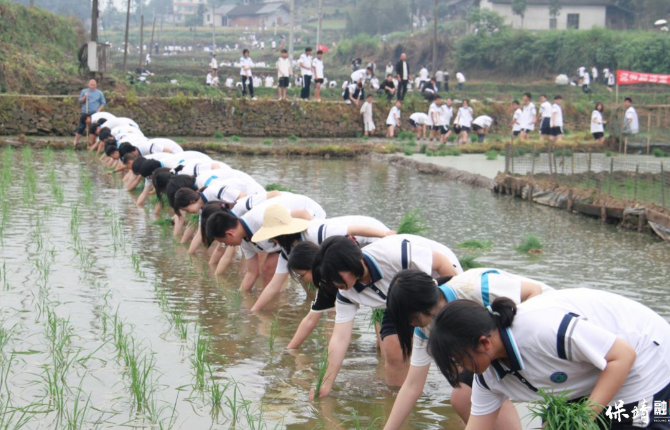 大地作课堂 青春悟担当——保靖民中把思政课上在田间古巷