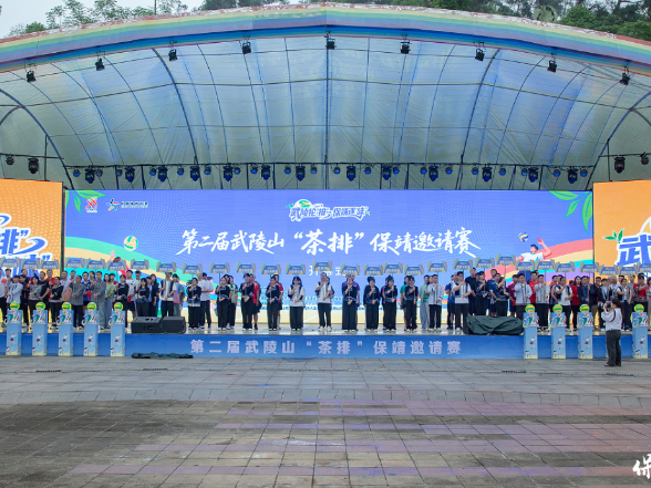 以茶为媒 以球会友 湘鄂渝黔桂73队集结保靖鏖战“茶排”