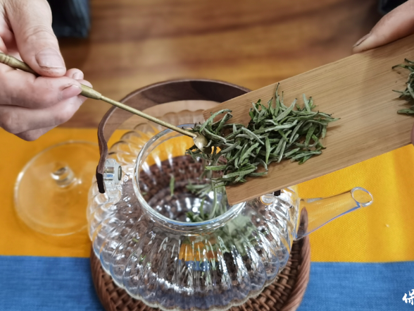 “致敬茶心 共赏雅席”保靖黄金茶茶席作品征集反响热烈 21方雅席竞展茶韵风华