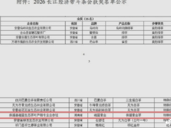 保靖黄金茶再添殊荣 斩获2026长江经济带斗茶会金奖