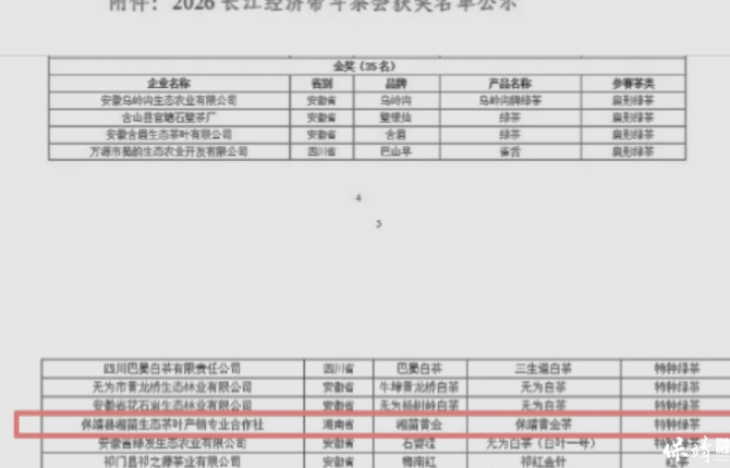 保靖黄金茶再添殊荣 斩获2026长江经济带斗茶会金奖