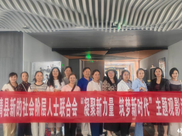 观影悟初心 聚力启新程——保靖县新阶联开展集中观影活动