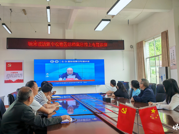 保靖县碗米坡镇：档案与时代同行 系列宣传出实招