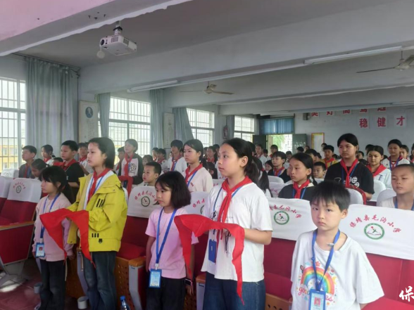 保靖县毛沟小学开展一年级新队员入队仪式
