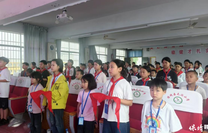 保靖县毛沟小学开展一年级新队员入队仪式