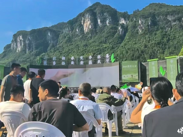 保靖县到贵州省江口县取“茶经”
