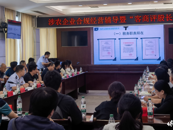 保靖：一场破解“清欠难”的营商突围战