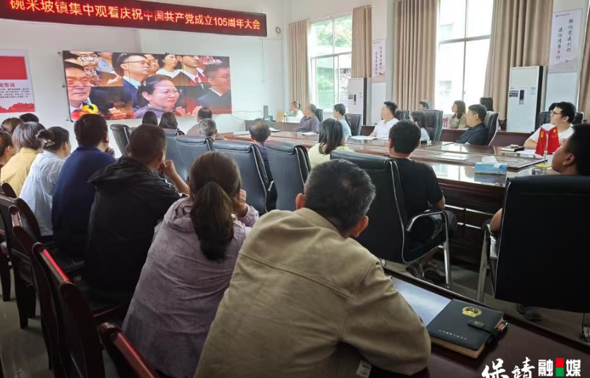 保靖县碗米坡镇组织集中观看庆祝中国共产党成立105周年大会