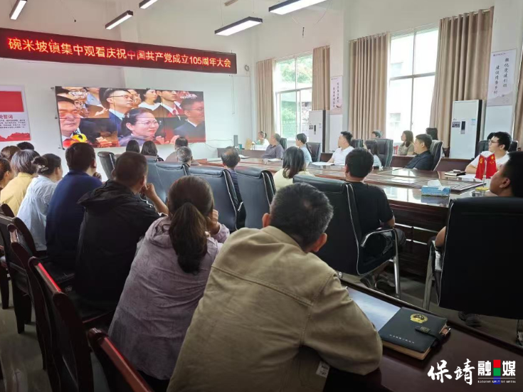 保靖县碗米坡镇组织集中观看庆祝中国共产党成立105周年大会