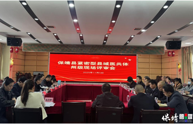 绘就健康惠民新画卷——保靖县推进紧密型县域医共体建设纪实