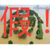 辟谣侠盟丨橘子洲头被淹？梅溪湖的鱼上岸了？多条湖南暴雨相关传言被辟谣