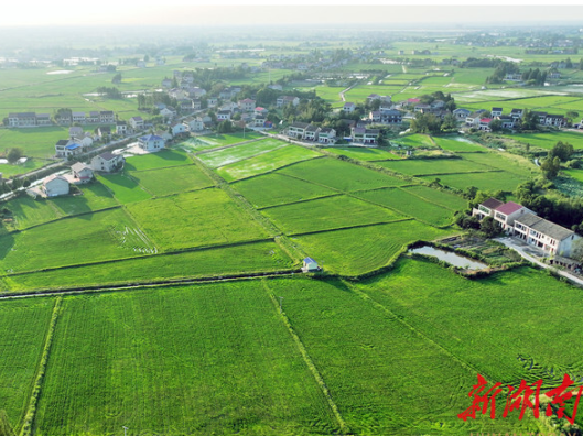 湘涌新潮⑧‌丨益阳：一方良田，安放希望