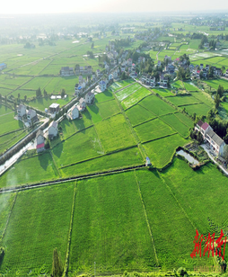 湘涌新潮⑧‌丨益阳：一方良田，安放希望