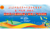 2025年大通湖区第十届气排球总决赛