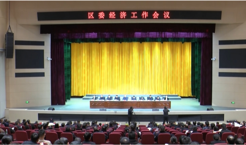 2024年大通湖区委经济工作会议