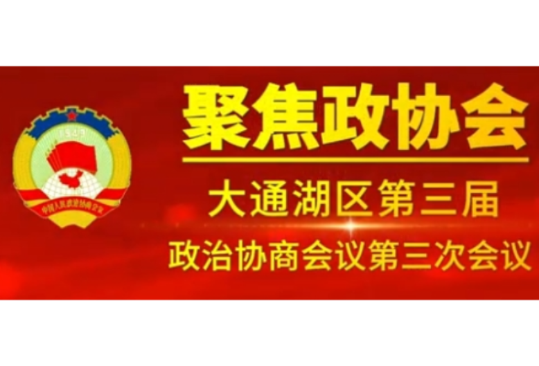 大通湖区第三届政治协商会议第三次会议