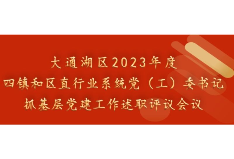 大通湖区2023年度四镇和区直行业系统党（工）委书记抓基层党建工作述职评议会议