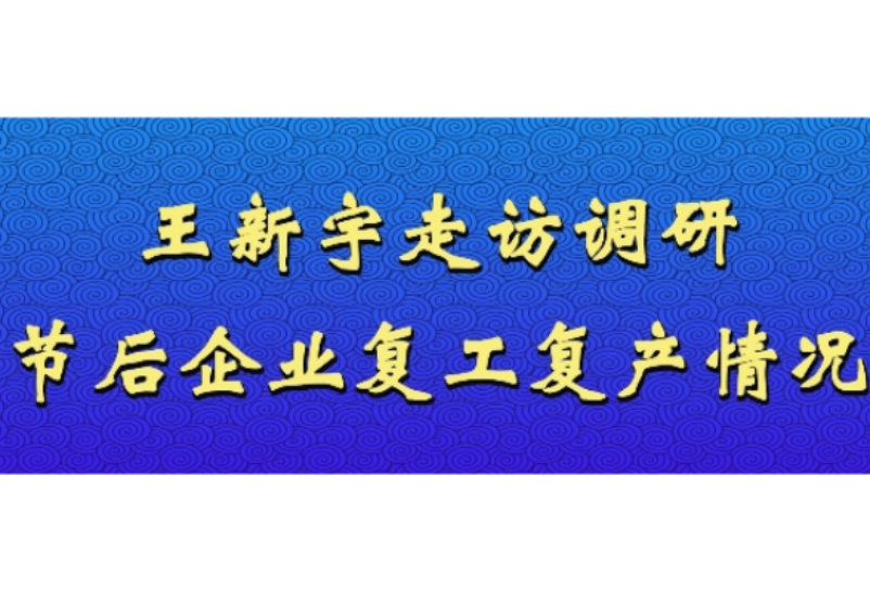 王新宇走访调研节后企业复工复产情况