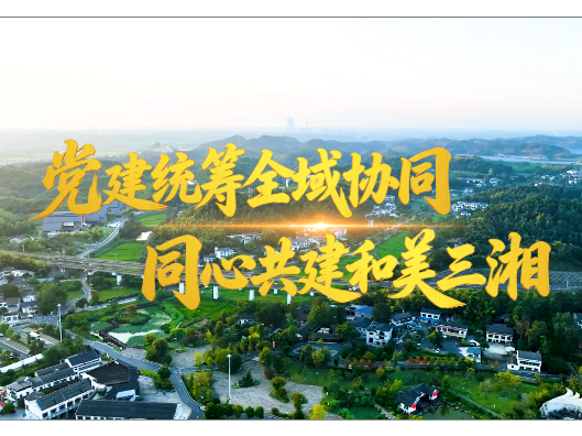 党建统筹全域协同 同心共建和美三湘
