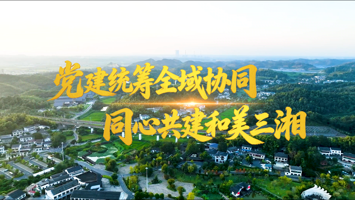 党建统筹全域协同 同心共建和美三湘