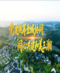 党建统筹全域协同 同心共建和美三湘